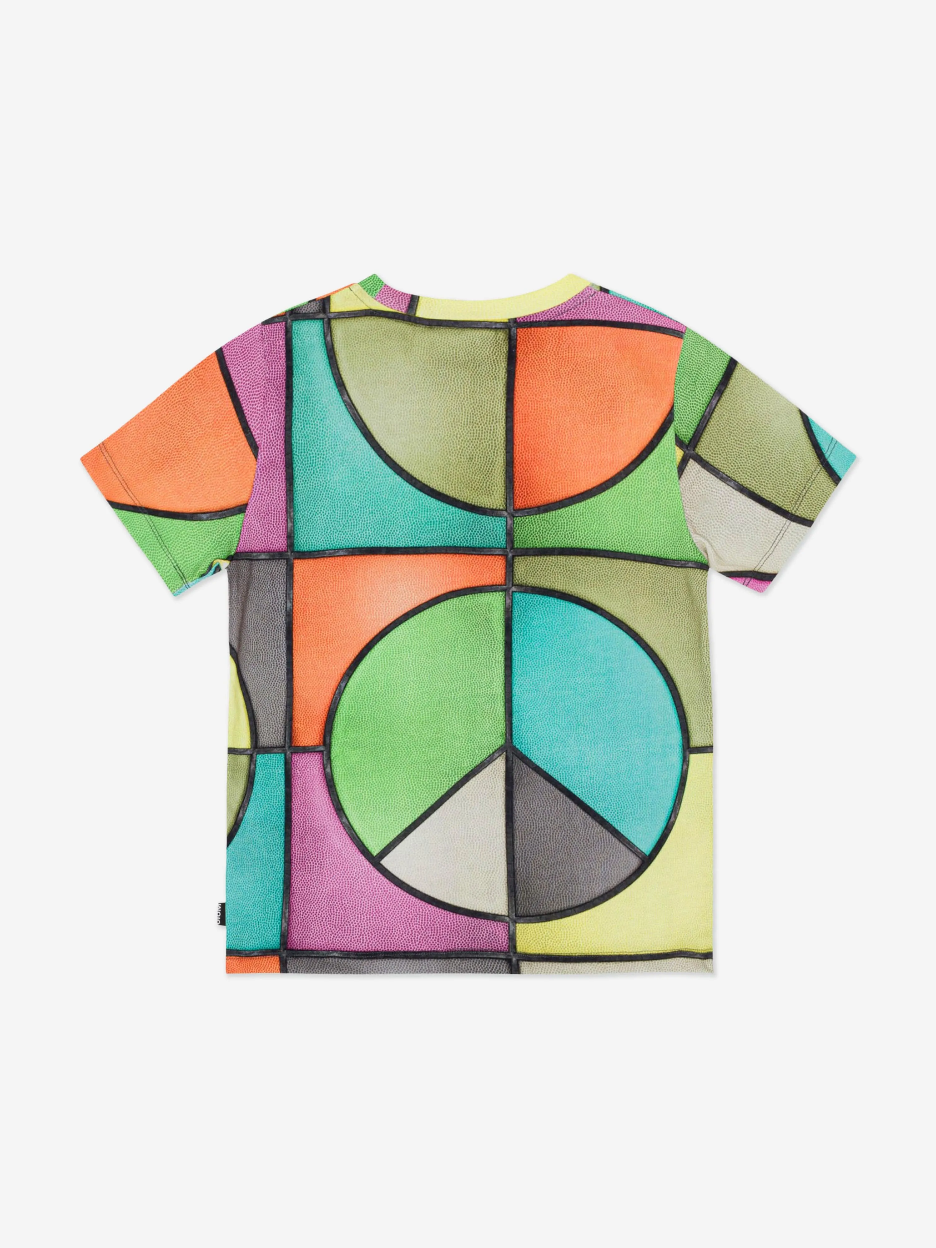 Molo Boys All Over Print T-Shirt in Multicolour