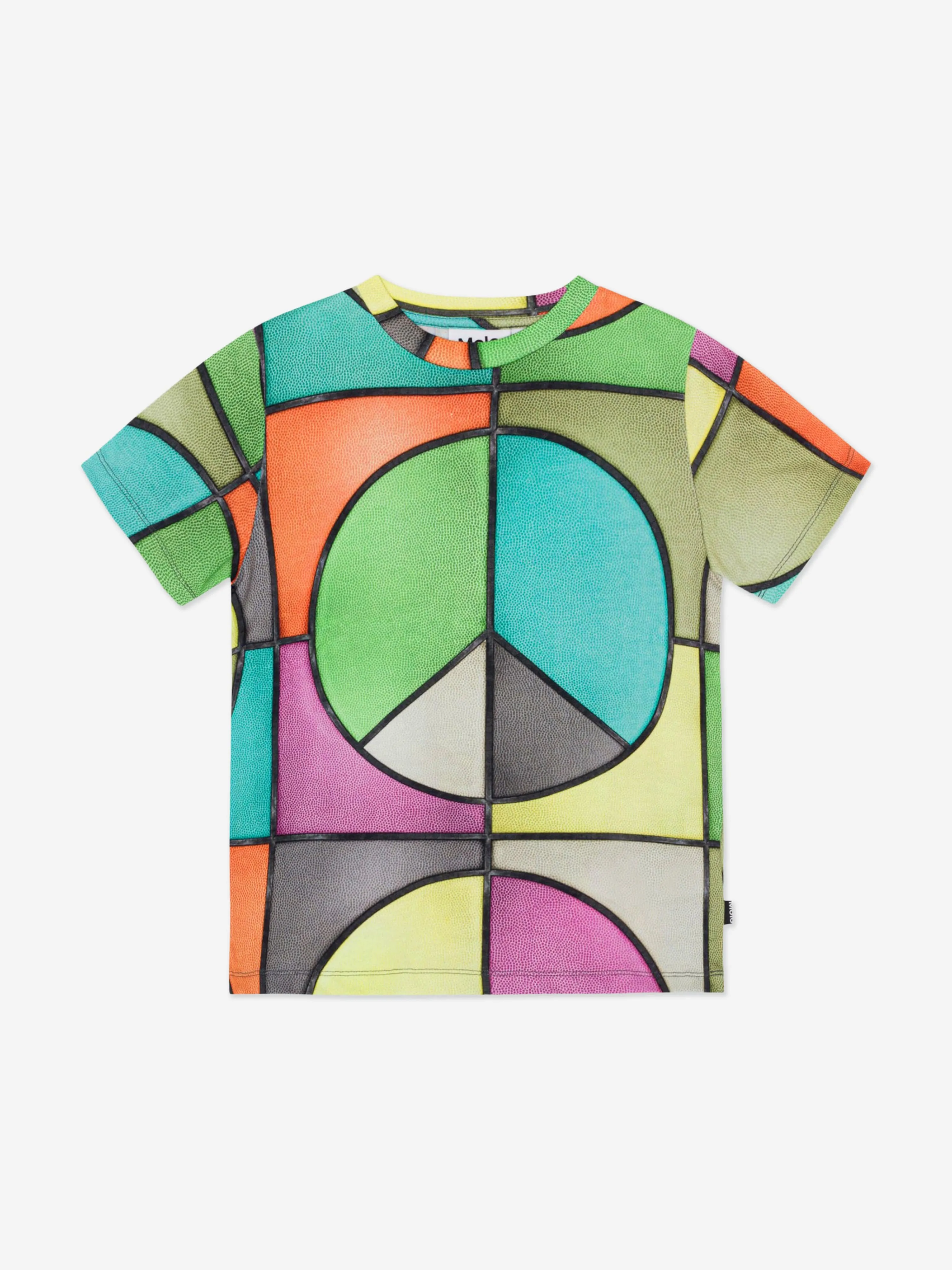 Molo Boys All Over Print T-Shirt in Multicolour