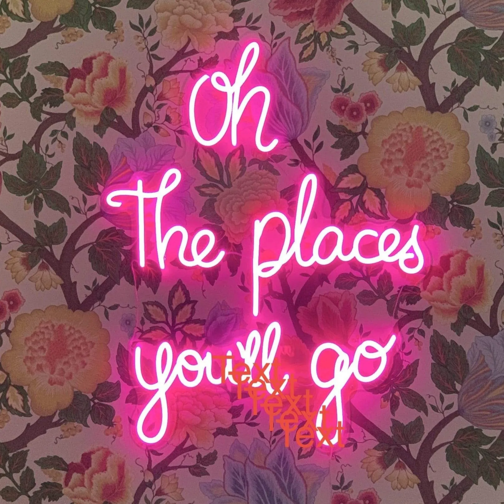 Oh the places you'll go neon sign